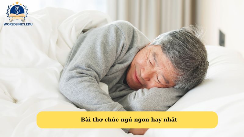 Bài thơ chúc ngủ ngon hay nhất