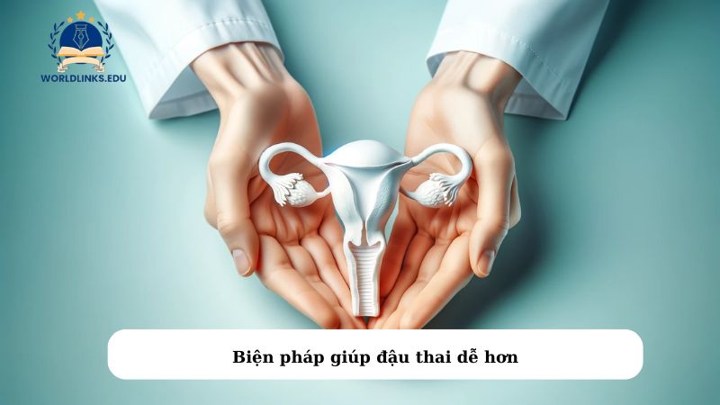 Biện pháp giúp đậu thai dễ hơn