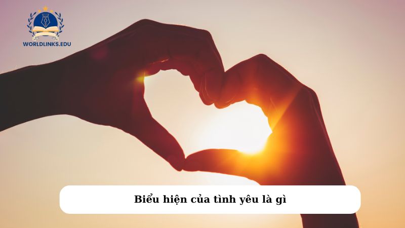 Biểu hiện của tình yêu là gì