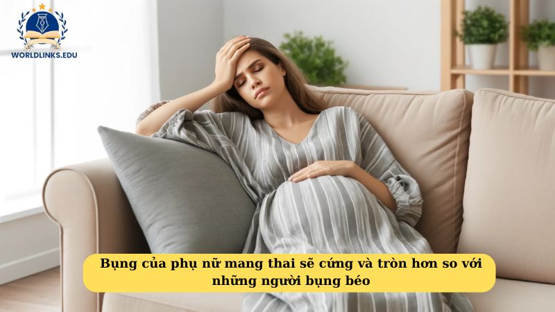 Bụng của phụ nữ mang thai sẽ cứng và tròn hơn so với những người bụng béo