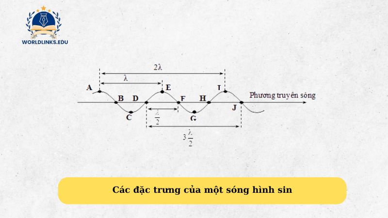 Các đặc trưng của một sóng hình sin