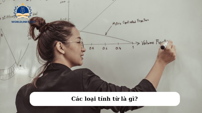 Các loại tính từ là gì?