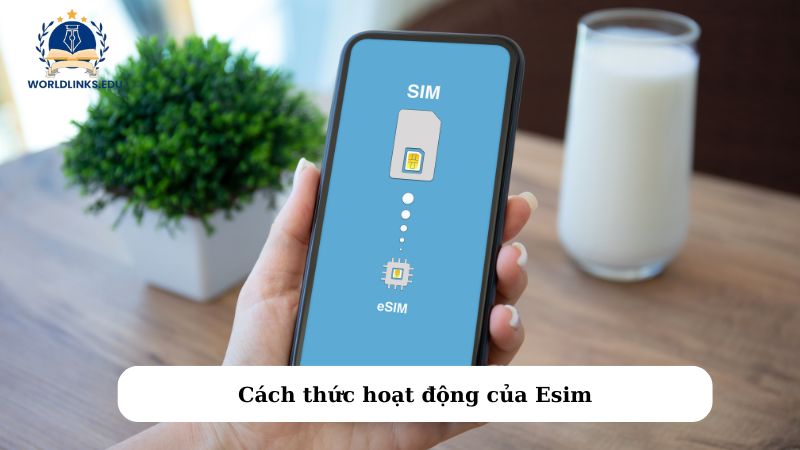 Cách thức hoạt động của Esim là gì?