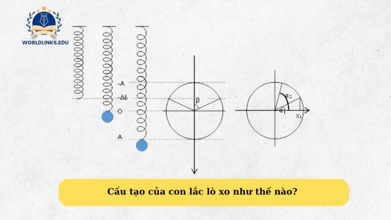 Cấu tạo của con lắc lò xo như thế nào?  