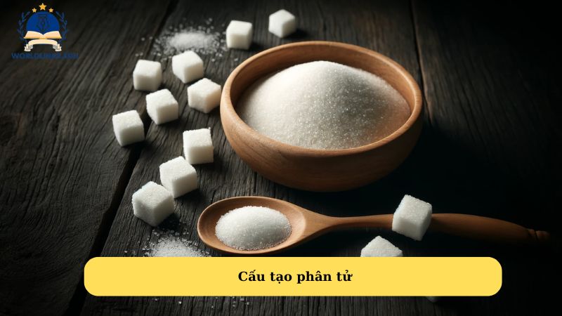 Cấu tạo phân tử