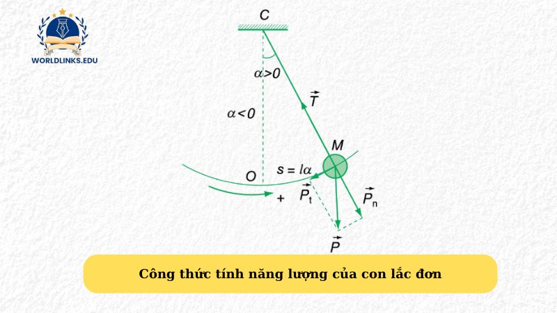 Công thức tính năng lượng của con lắc đơn