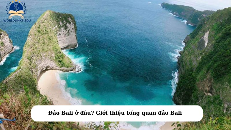 Đảo Bali ở đâu? Giới thiệu tổng quan đảo Bali