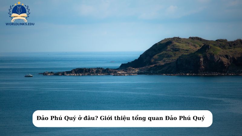 Đảo Phú Quý ở đâu? Giới thiệu tổng quan Đảo Phú Quý