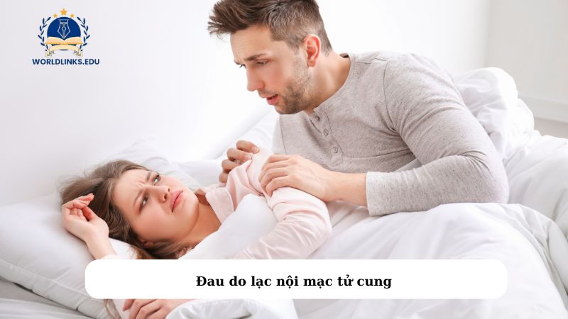 Đau do lạc nội mạc tử cung 