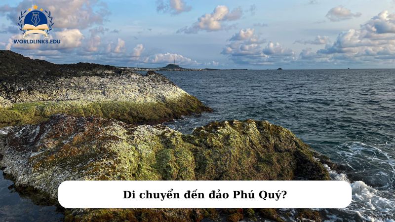 Di chuyển đến đảo Phú Quý?