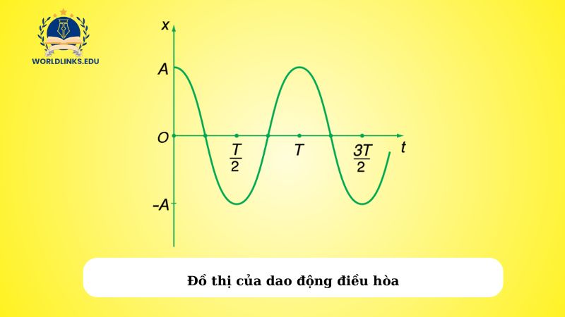 Đồ thị của dao động điều hòa