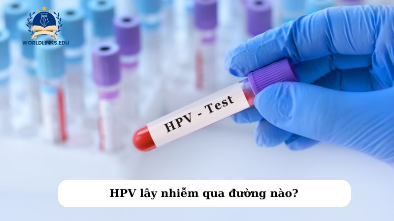 HPV lây nhiễm qua đường nào?