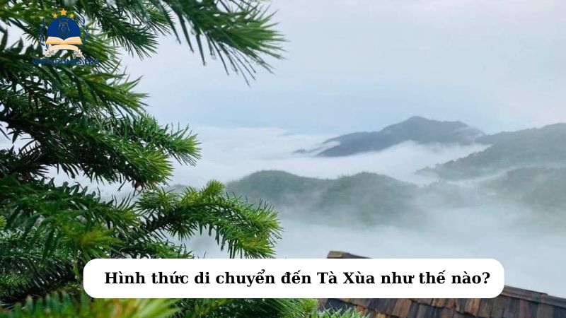 Hình thức di chuyển đến Tà Xùa như thế nào?