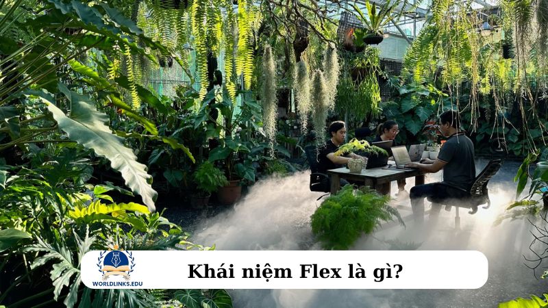 Khái niệm Flex là gì?