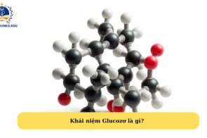 Glucozơ là gì? Công thức và tính chất hóa học