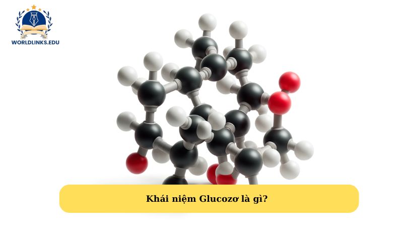 Khái niệm Glucozơ là gì?