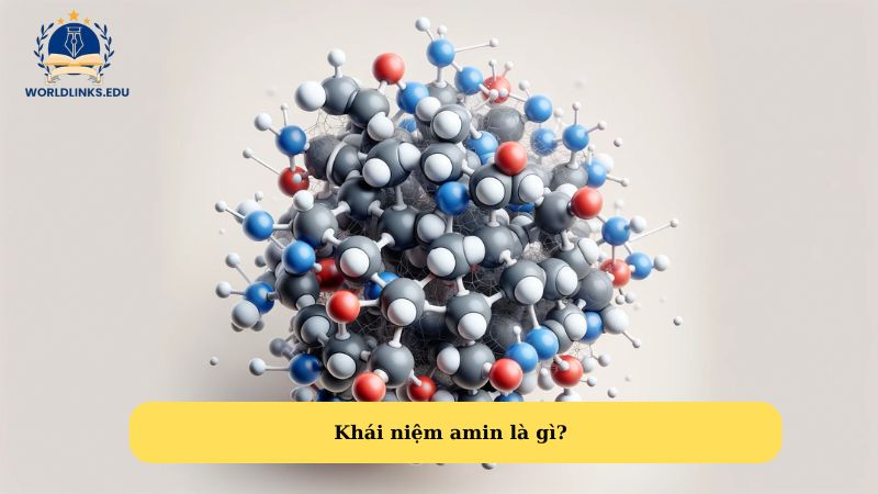 Khái niệm amin là gì?