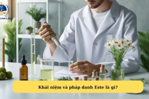 Este là gì? Công thức hóa học, ứng dụng trong cuộc sống