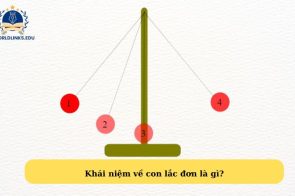 Con lắc đơn là gì? Công thức tính chu kì, tần số góc của dao động