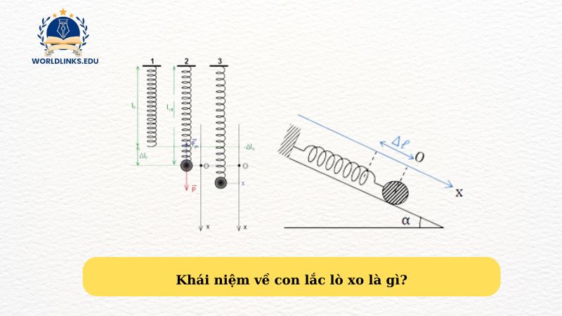 Khái niệm về con lắc lò xo là gì?