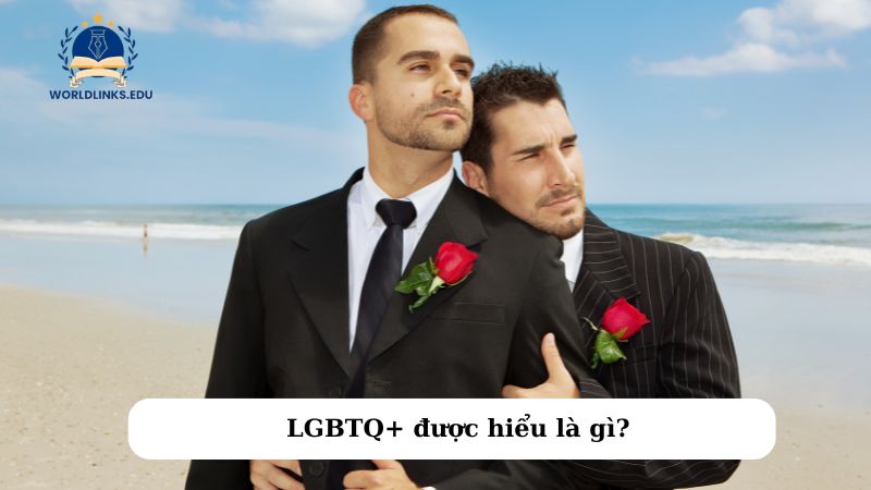 LGBTQ+ được hiểu là gì?