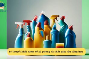 Lý thuyết khái niệm về xà phòng và chất giặt rửa tổng hợp