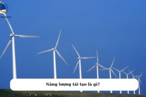 Năng lượng tái tạo là gì? Lợi ích mà năng lượng tái tạo đem lại