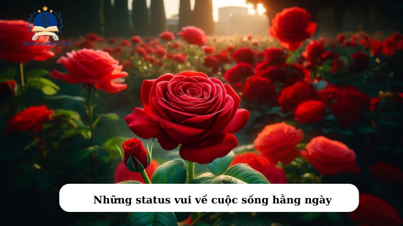 Những status vui về cuộc sống hằng ngày