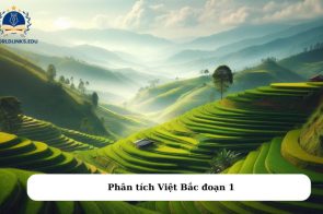 Phân tích Việt Bắc của Tố Hữu hay nhất