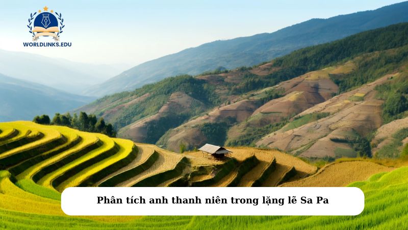 Phân tích anh thanh niên trong lặng lẽ Sa Pa