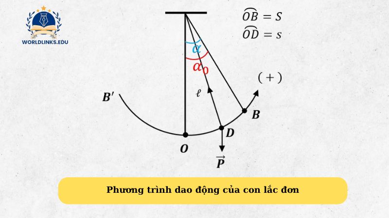 Phương trình dao động của con lắc đơn