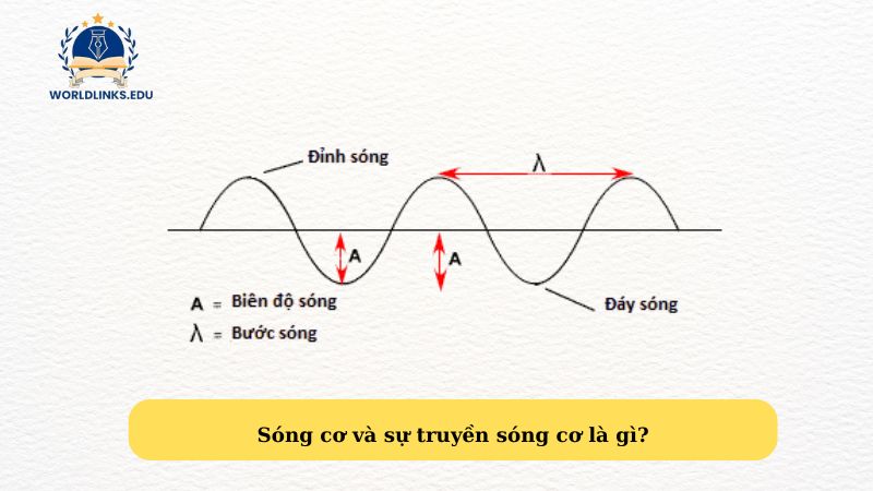 Sóng cơ và sự truyền sóng cơ là gì?