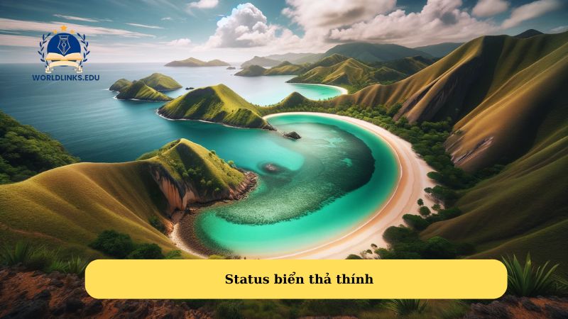 Status biển thả thính