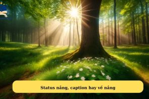 Status nắng, caption hay trong tình yêu và cuộc sống