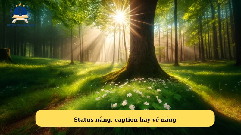 Status nắng tình yêu dễ thương