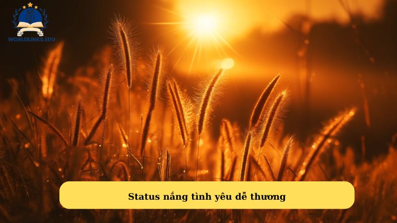 Status nắng tình yêu dễ thương