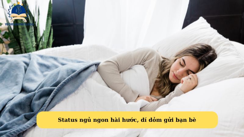 Status ngủ ngon hài hước, dí dỏm gửi bạn bè 