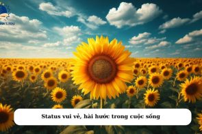 Status vui vẻ, hài hước trong cuộc sống hàng ngày