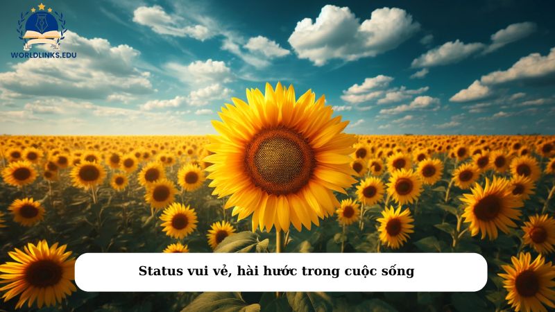 Status vui vẻ, hài hước trong cuộc sống