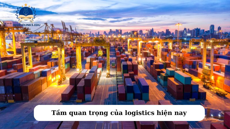 Tầm quan trọng của logistics hiện nay