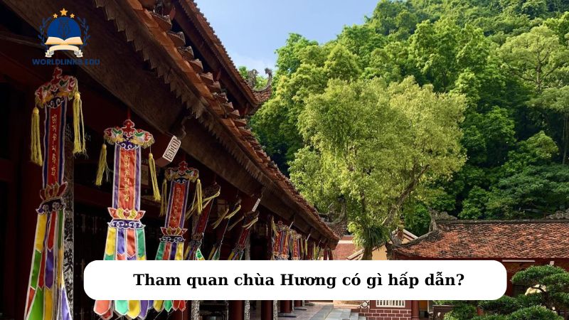 Tham quan chùa Hương có gì hấp dẫn?