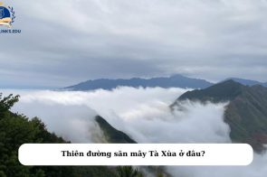 Tà Xùa ở đâu? Kinh nghiệm đi du lịch Tà Xùa từ A-Z