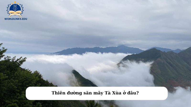 Thiên đường săn mây Tà Xùa ở đâu?