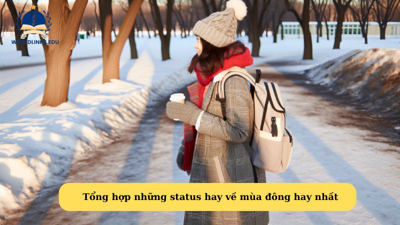 Tổng hợp những status hay về mùa đông hay nhất