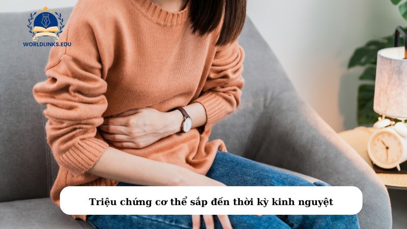 Triệu chứng cơ thể sắp đến thời kỳ kinh nguyệt