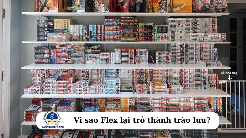 Vì sao Flex lại trở thành trào lưu?