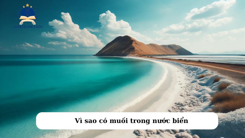 Vì sao có muối trong nước biển