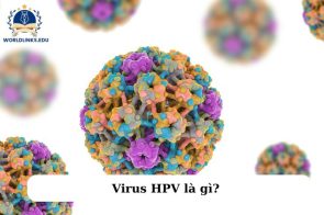 HPV là gì? Nguyên nhân và cách điều trị lây nhiễm hiệu quả