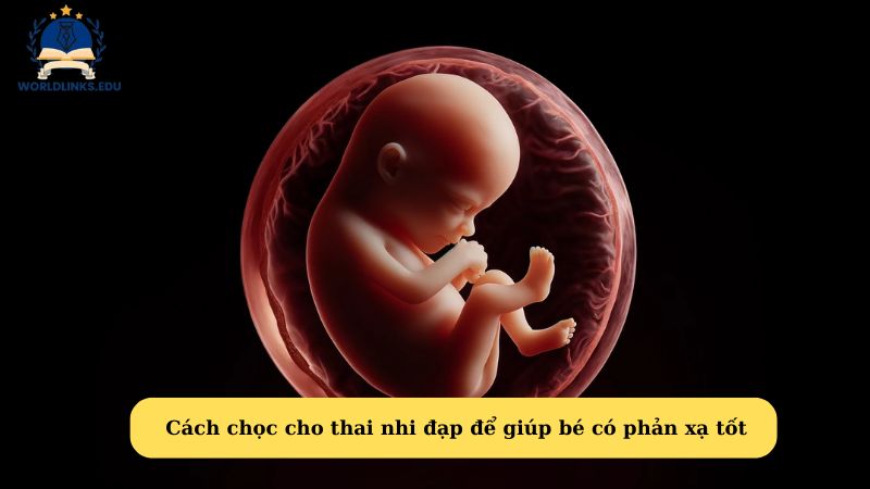 Cách chọc cho thai nhi đạp để giúp bé có phản xạ tốt