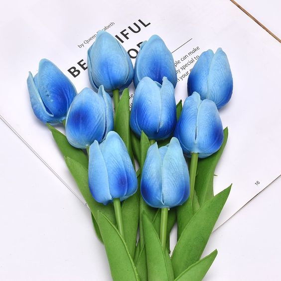 hoa tulip xanh 17